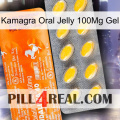 Kamagra Oral Jelly 100Mg Gel new05